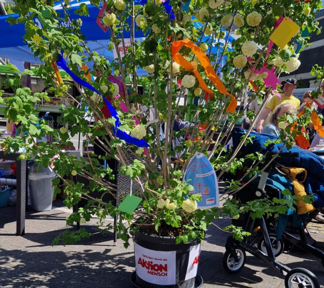 Kopie von Call to Action Boxen